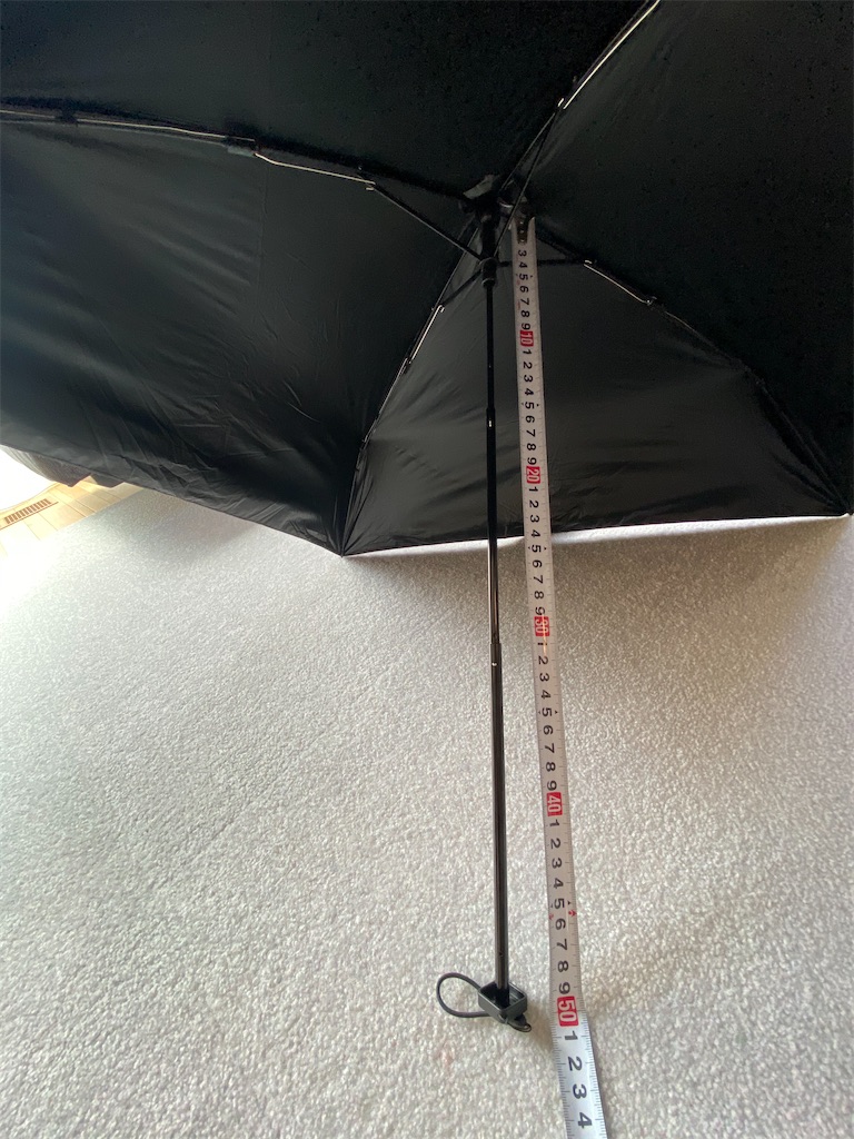 f:id:ann360days:20200731115625j:image