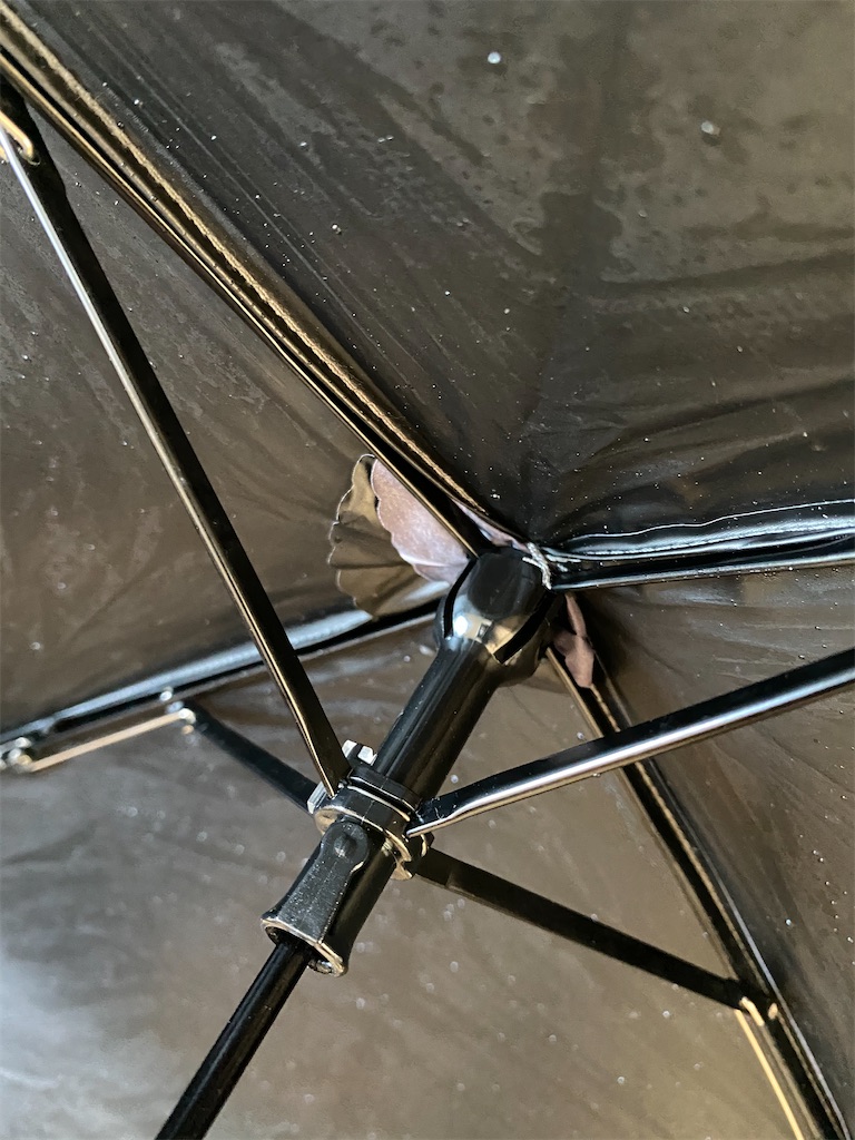 f:id:ann360days:20200731121035j:image