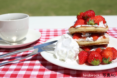 f:id:annababytokyo:20201210110146j:plain