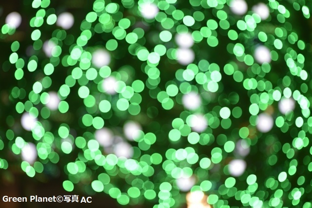 f:id:annababytokyo:20201221162650j:plain