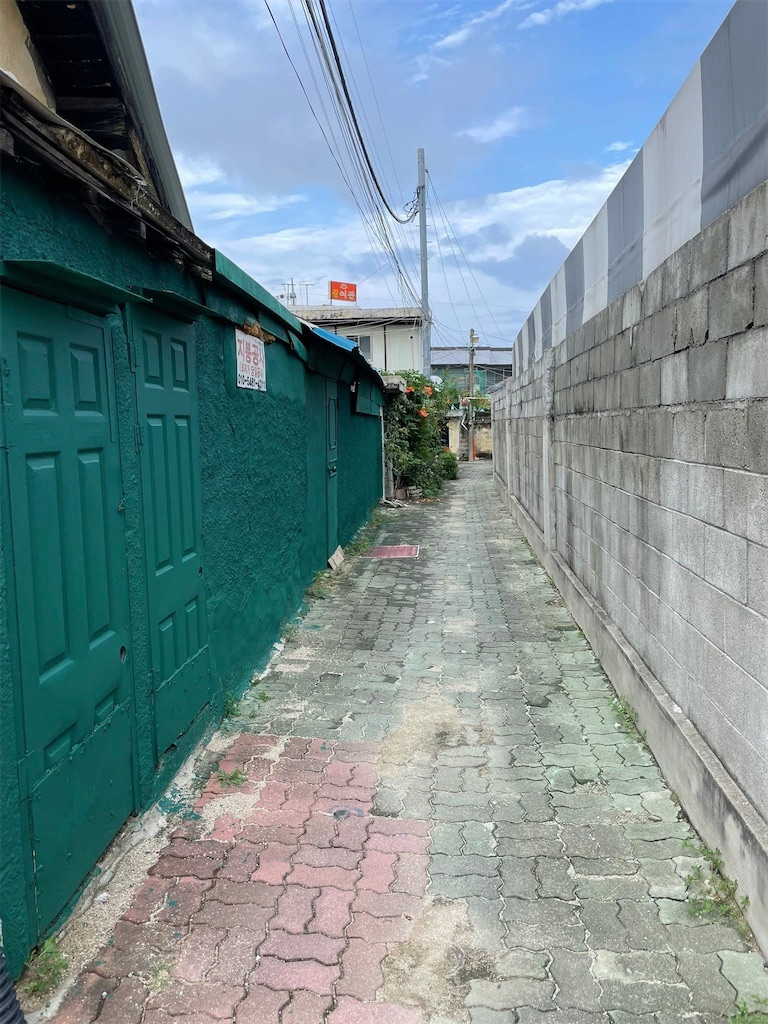 f:id:annadonna97:20260320193152j:image f:id:annadonna97:20260320193152j:image
