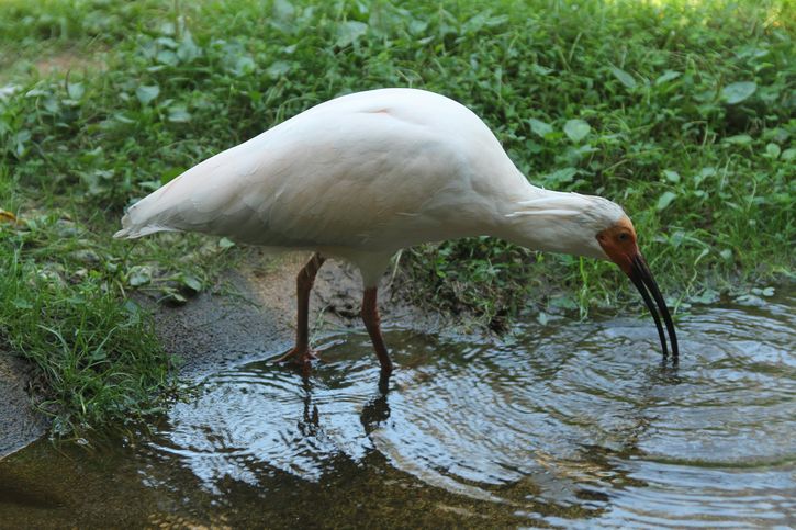 f:id:annaeuscaesar:20211004222401j:plain