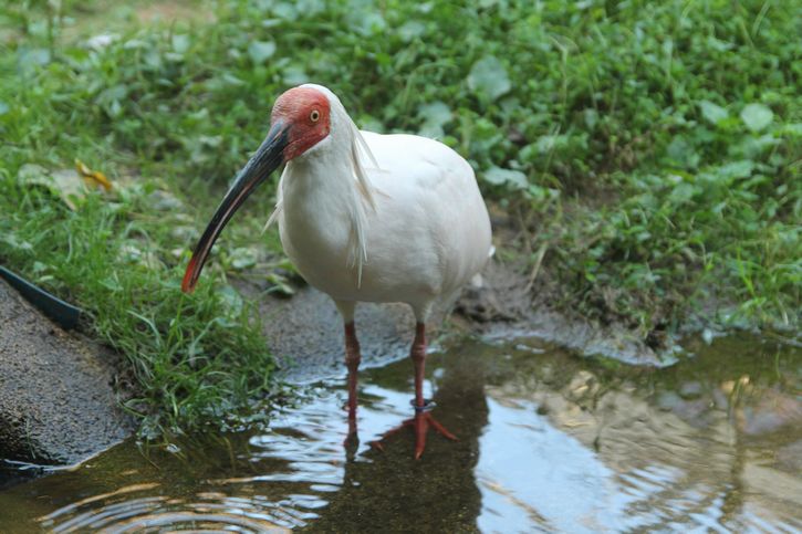 f:id:annaeuscaesar:20211004222403j:plain