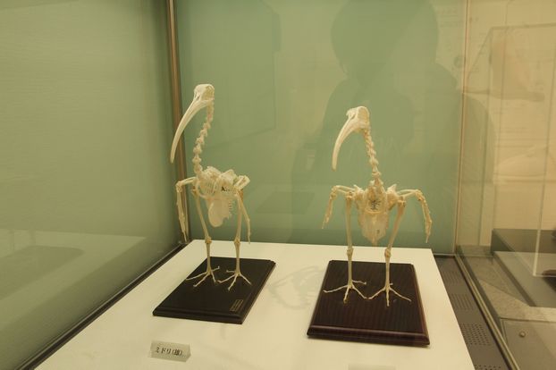 f:id:annaeuscaesar:20211004222406j:plain