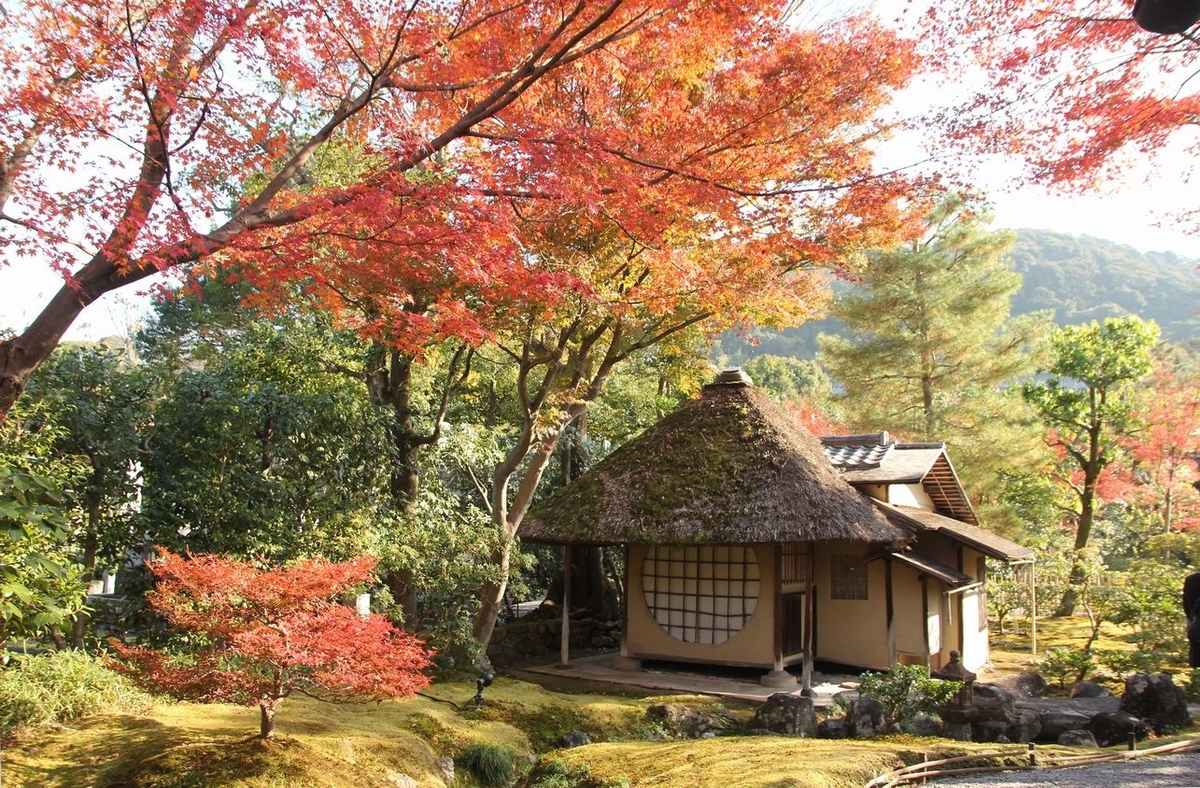 f:id:annaeuscaesar:20211203163357j:plain