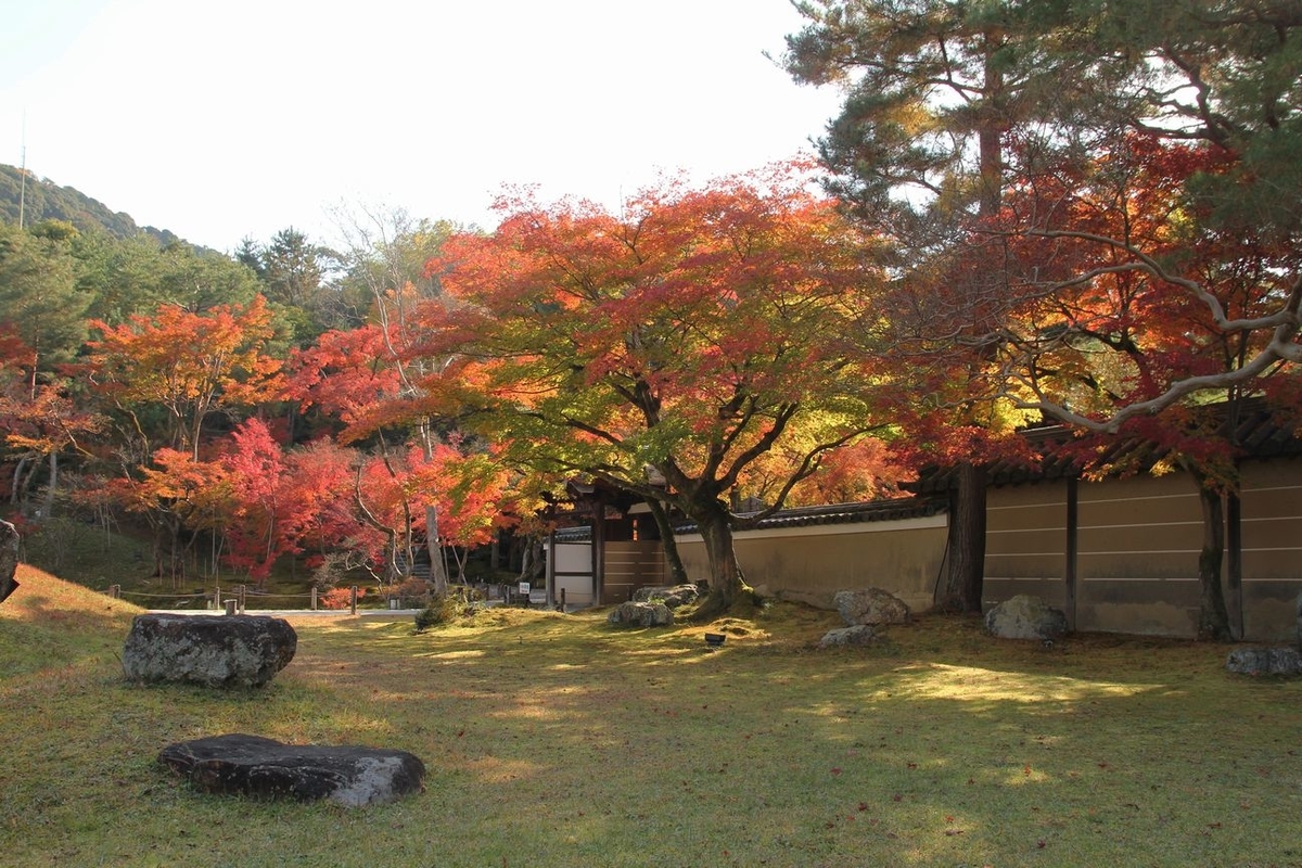 f:id:annaeuscaesar:20211203163403j:plain