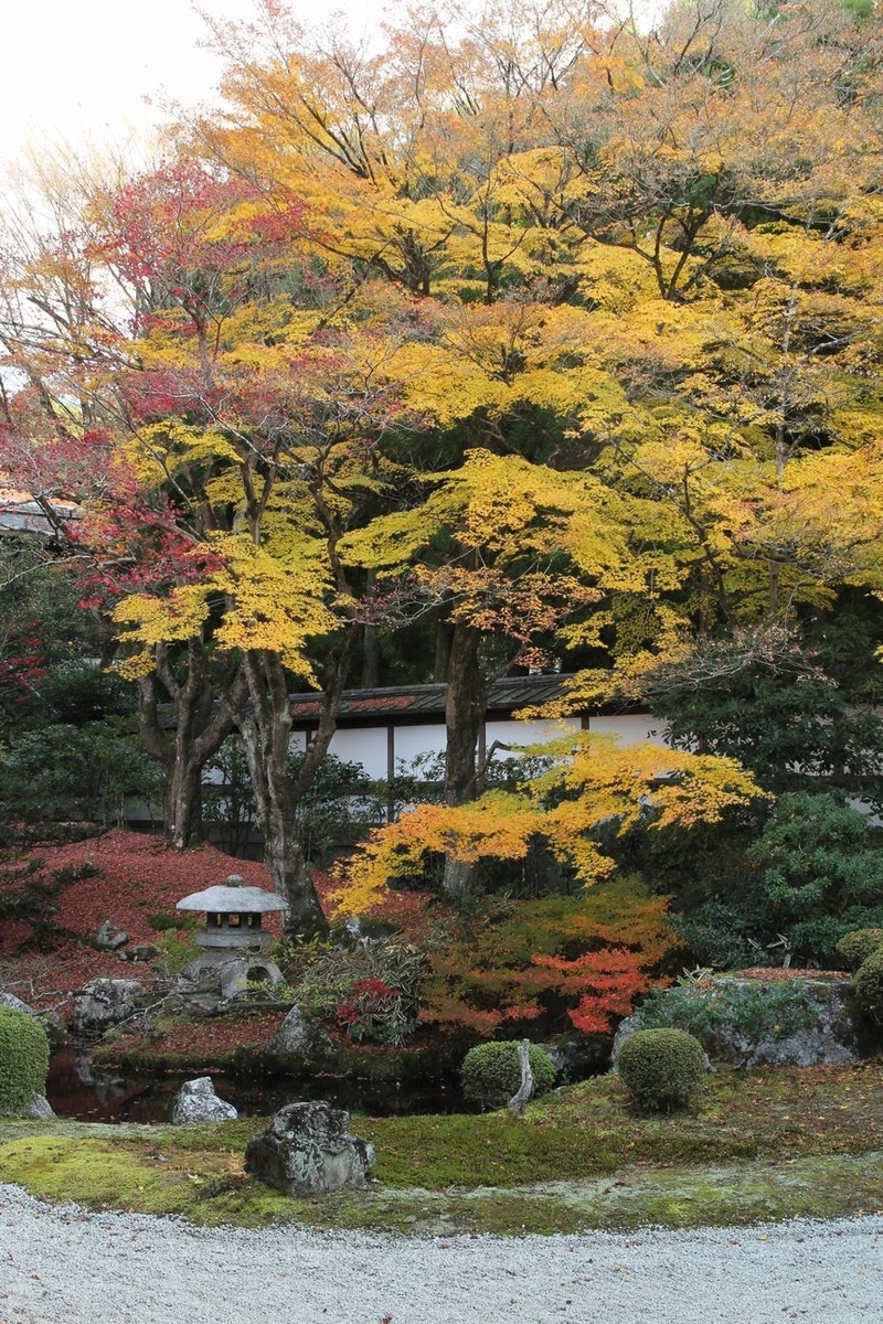 f:id:annaeuscaesar:20211203164359j:plain