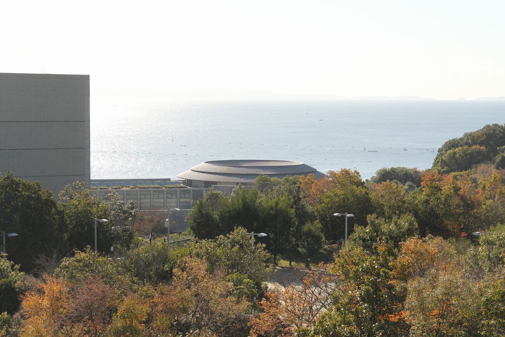 f:id:annaeuscaesar:20211203182546j:plain