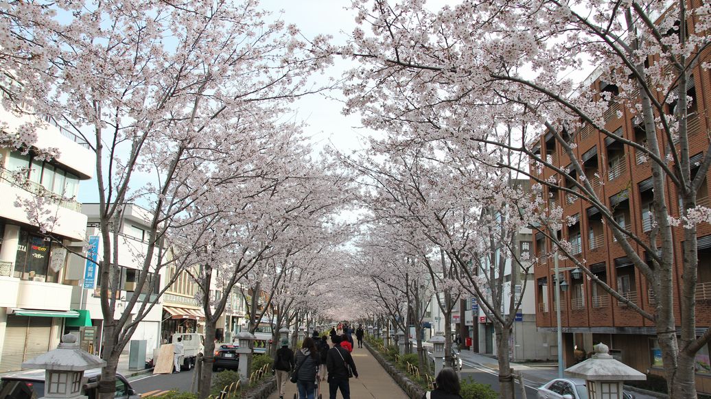 f:id:annaeuscaesar:20220403161810j:plain