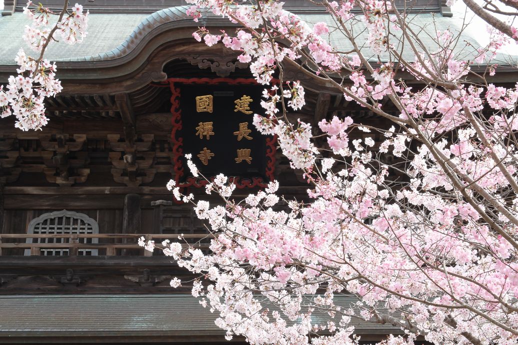 f:id:annaeuscaesar:20220404004043j:plain