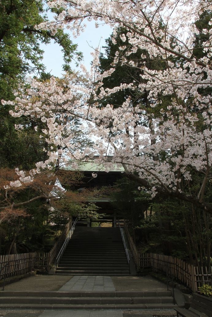 f:id:annaeuscaesar:20220404004229j:plain