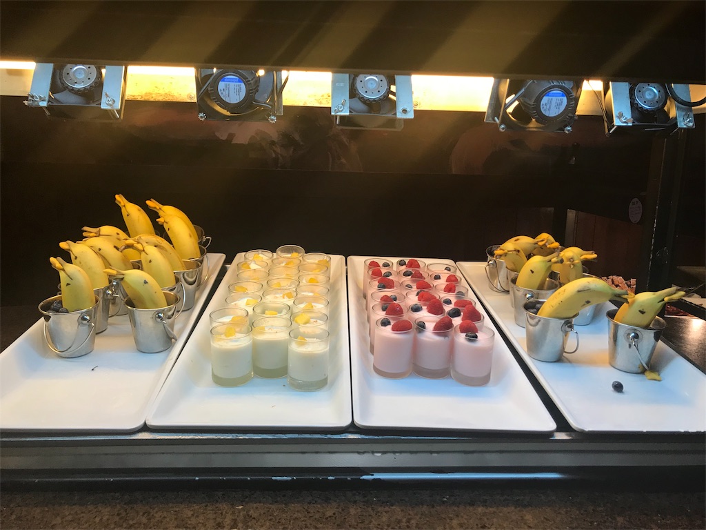 f:id:annah-grandhyatt2019:20190321162448j:image f:id:annah-grandhyatt2019:20190321162448j:image