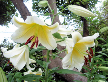 20090703215344