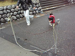 20110321192655