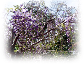 20110417155057