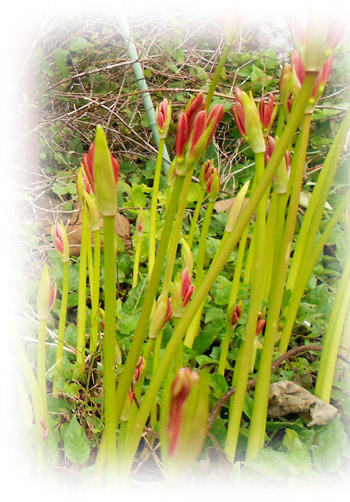 20110929185049