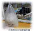 20121021193113