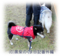 20121111164602
