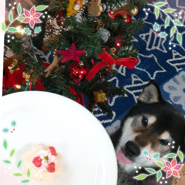 f:id:annakoto1616:20201224210248j:image
