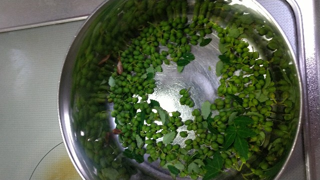 f:id:annakoto1616:20210516212422j:image