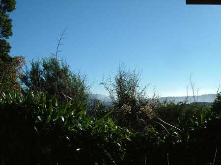 f:id:annapandatiger:20060701165825j:image f:id:annapandatiger:20060701165825j:image