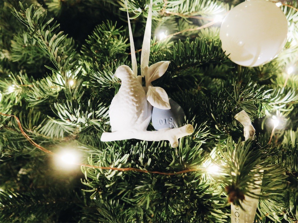 f:id:annapandatiger:20190111072315j:image