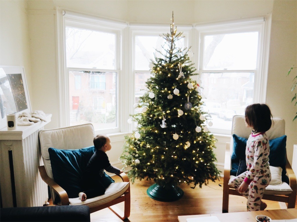f:id:annapandatiger:20190111072333j:image