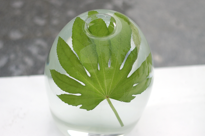 f:id:annchan:20120513214745j:image f:id:annchan:20120513214745j:image