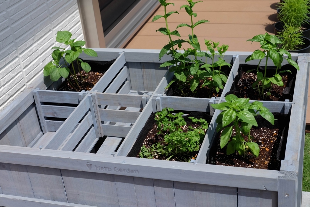 ベジトラグ　VegTrug