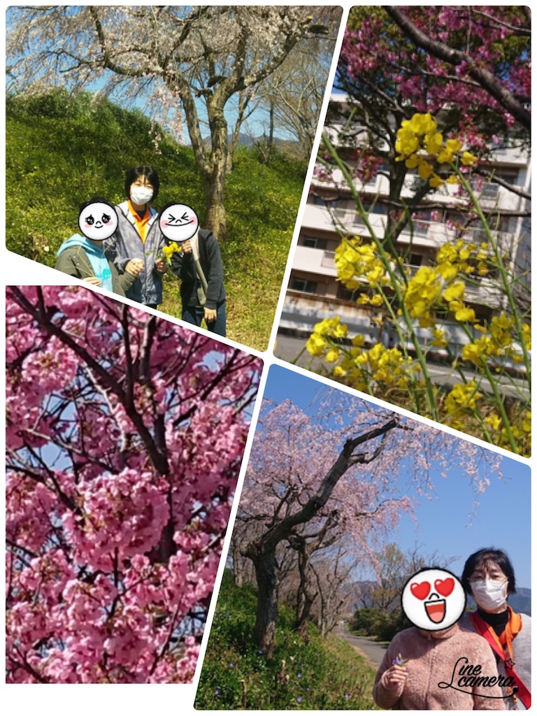f:id:annei-aikid:20200326204059j:image