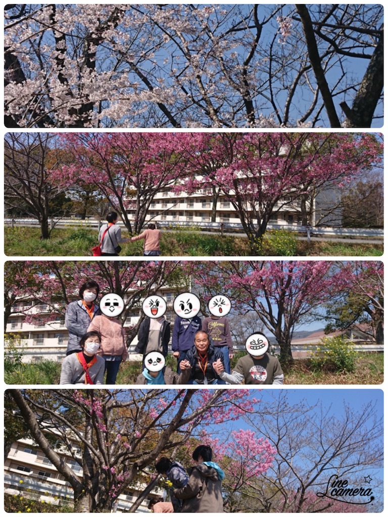 f:id:annei-aikid:20200326204111j:image
