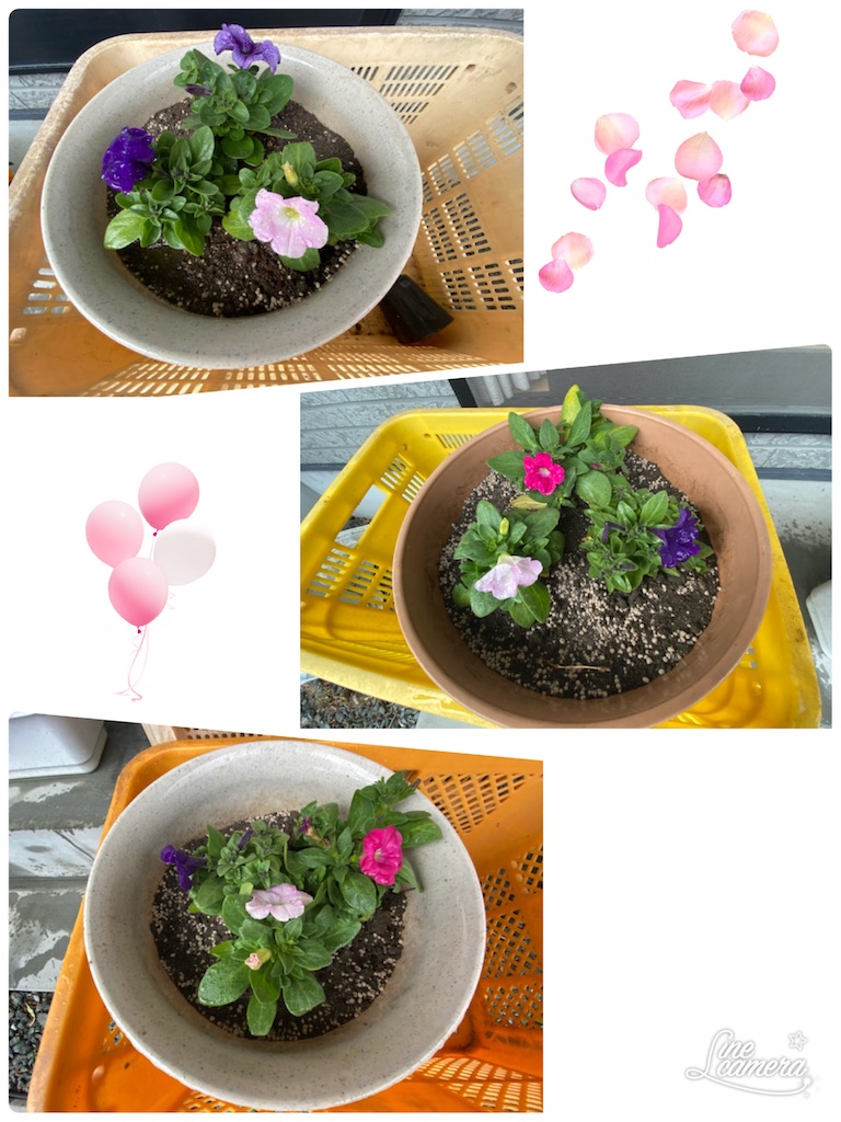 f:id:annei-aikid:20210306190557j:image f:id:annei-aikid:20210306190557j:image