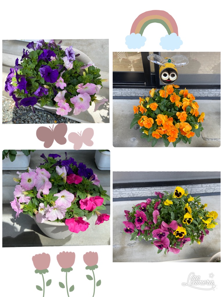 f:id:annei-aikid:20210416202101j:image f:id:annei-aikid:20210416202101j:image