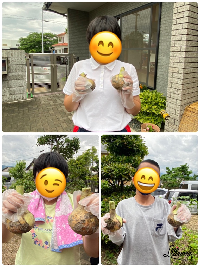 f:id:annei-aikid:20210521232654j:image