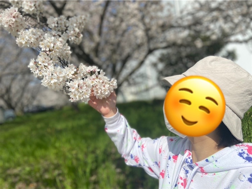 f:id:annei-aikid:20230329214202j:image