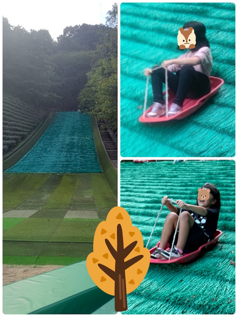 f:id:annei-aikid:20241105142113j:image