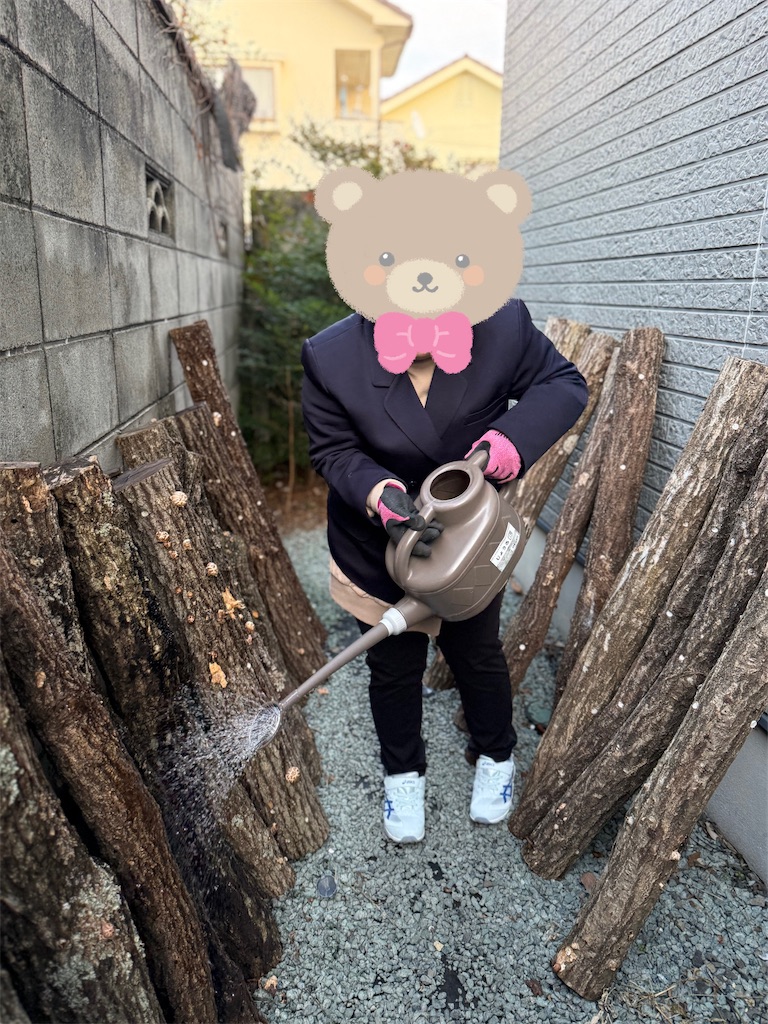 f:id:annei-aikid:20250124120239j:image