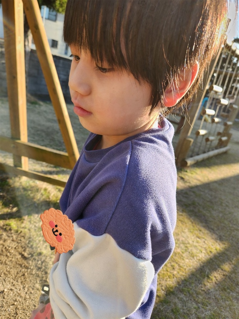 f:id:annei-aikid:20250226134400j:image