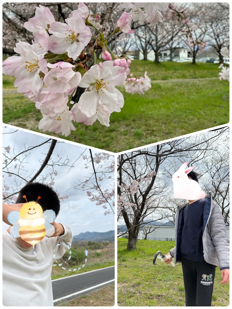 f:id:annei-aikid:20250401084518j:image