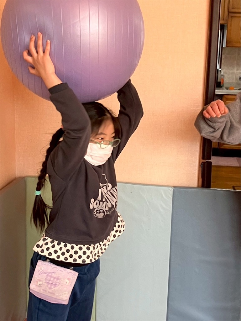 f:id:annei-aikid:20260313103246j:image