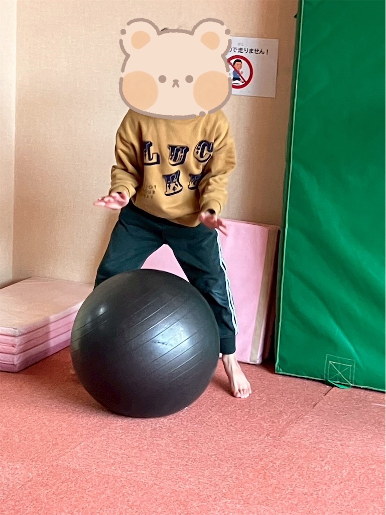 f:id:annei-aikid:20260313103328j:image