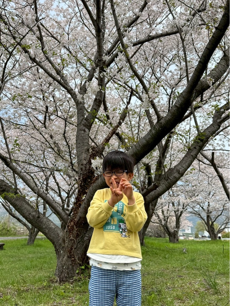 f:id:annei-aikid:20260411102833j:image