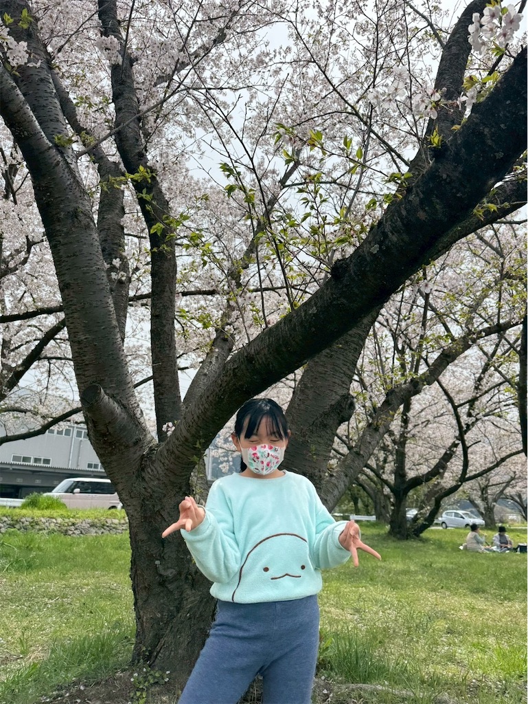 f:id:annei-aikid:20260411102839j:image