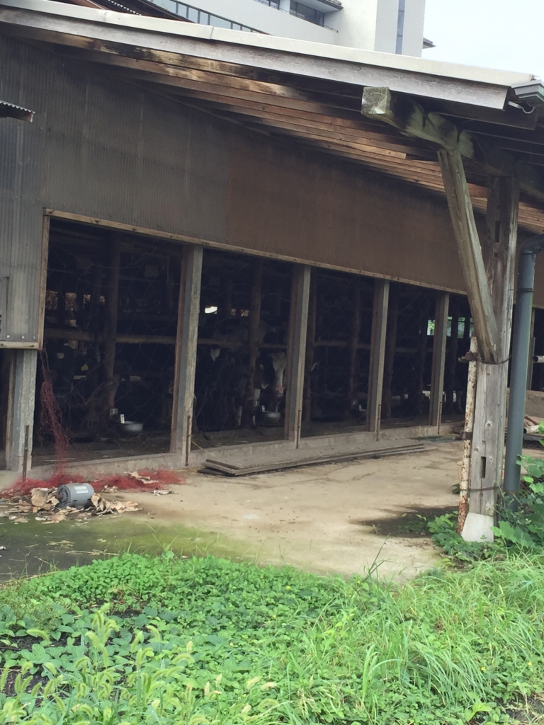 f:id:anneneville:20160925222759j:plain