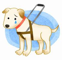 f:id:anneneville:20191225130129j:plain