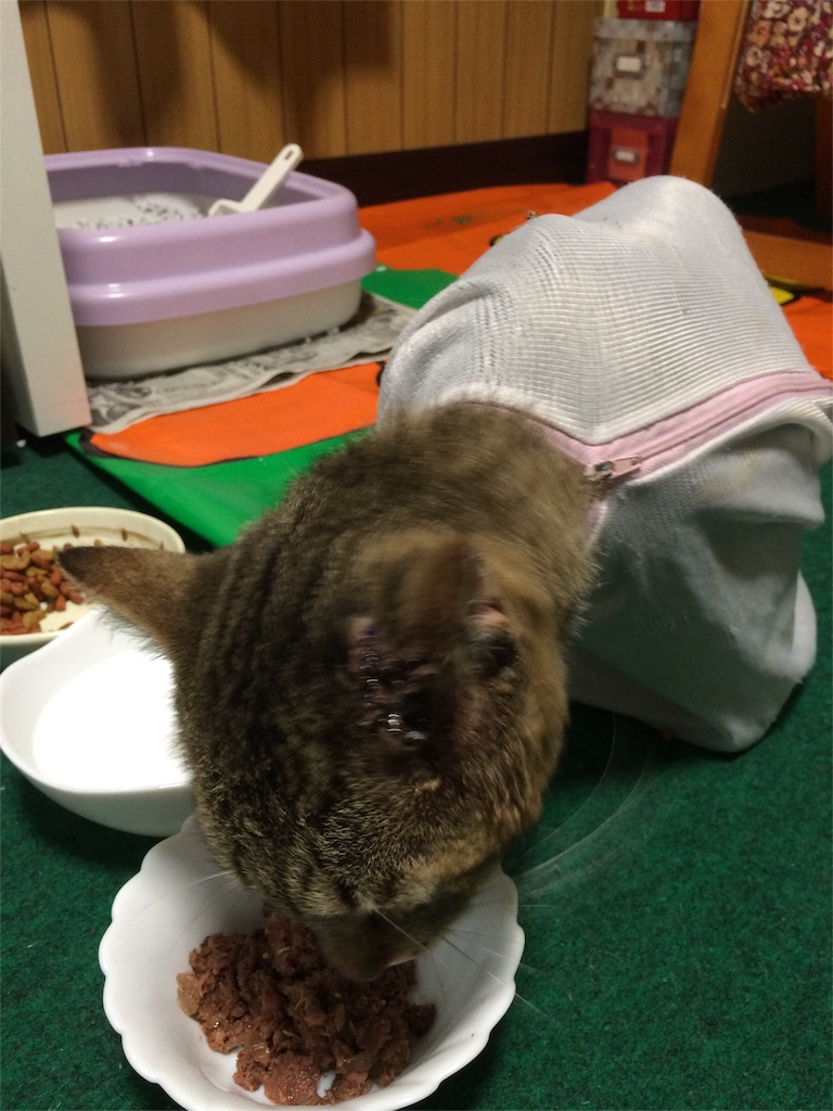 f:id:annesea:20160905223853j:image