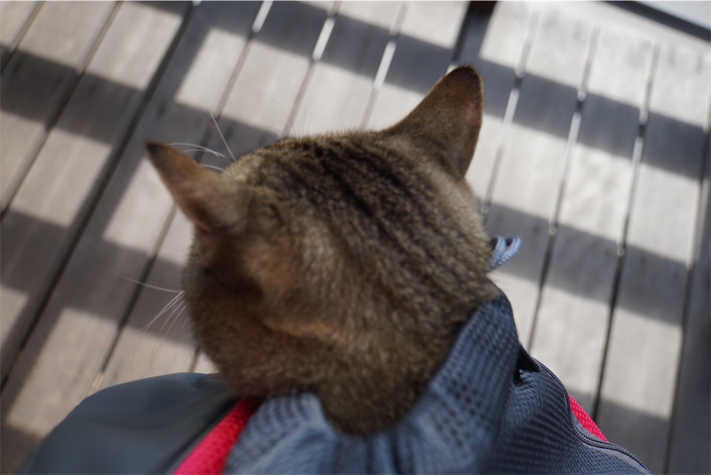f:id:annesea:20161031213451j:image