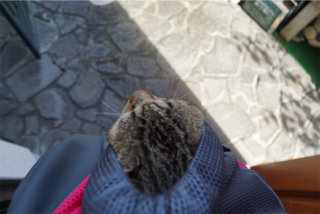 f:id:annesea:20161031213530j:image