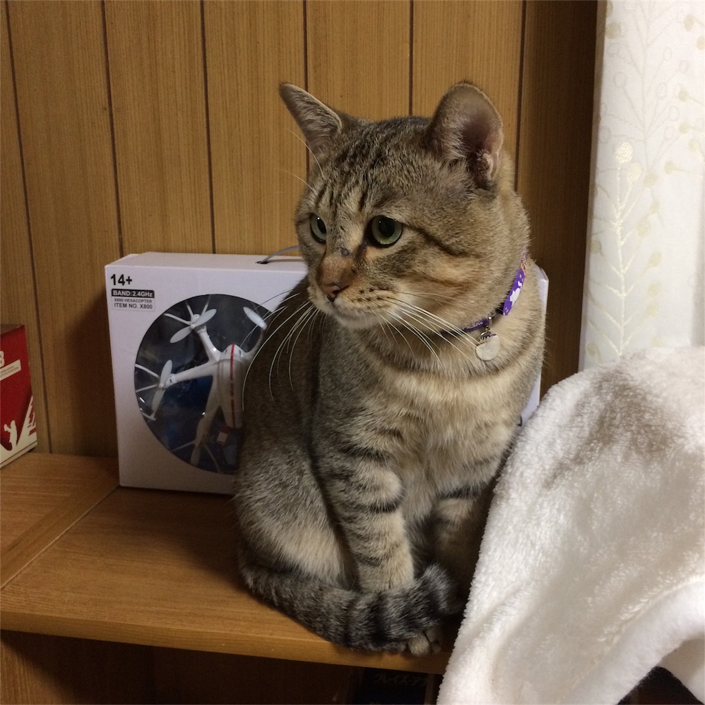 f:id:annesea:20161121003421j:image