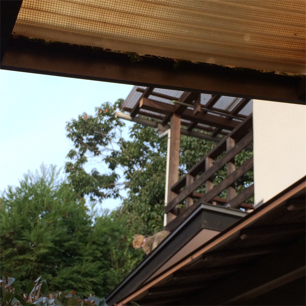 f:id:annesea:20161201215605j:image f:id:annesea:20161201215605j:image